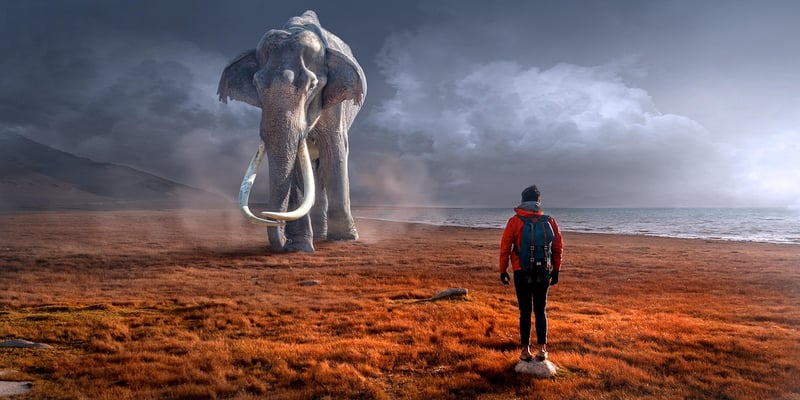 Close Encounters